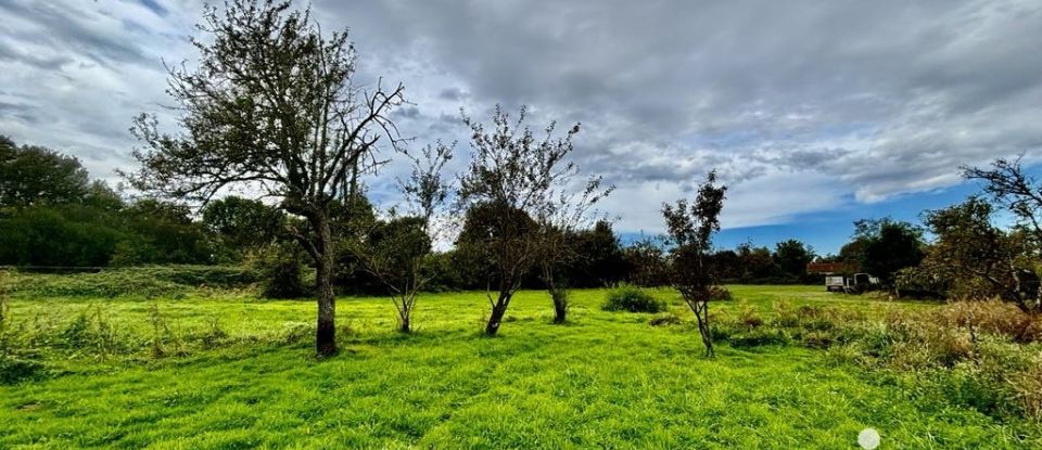 Maison de campagne 4 pièces de 78 m² à Saint-Parize-le-Châtel (58490)