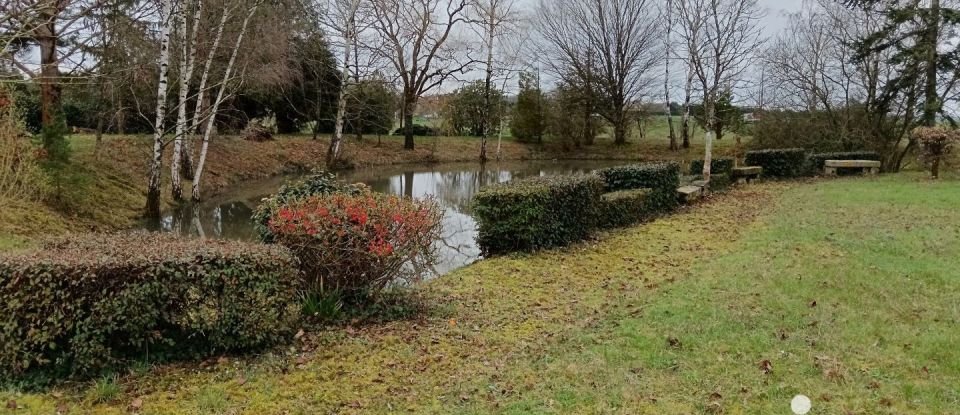 Terrain Loisirs de 5 210 m² à Auzouer-en-Touraine (37110)