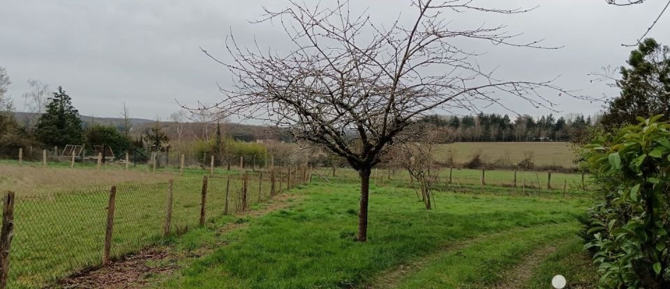 Terrain Loisirs de 5 210 m² à Auzouer-en-Touraine (37110)