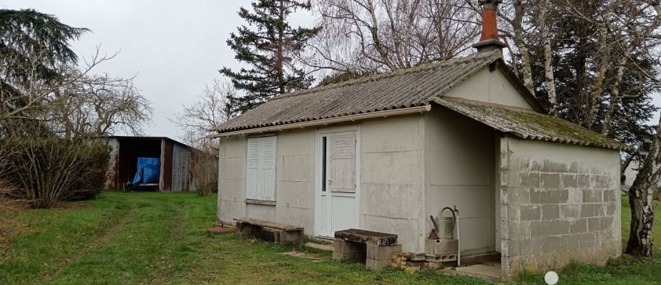 Terrain Loisirs de 5 210 m² à Auzouer-en-Touraine (37110)