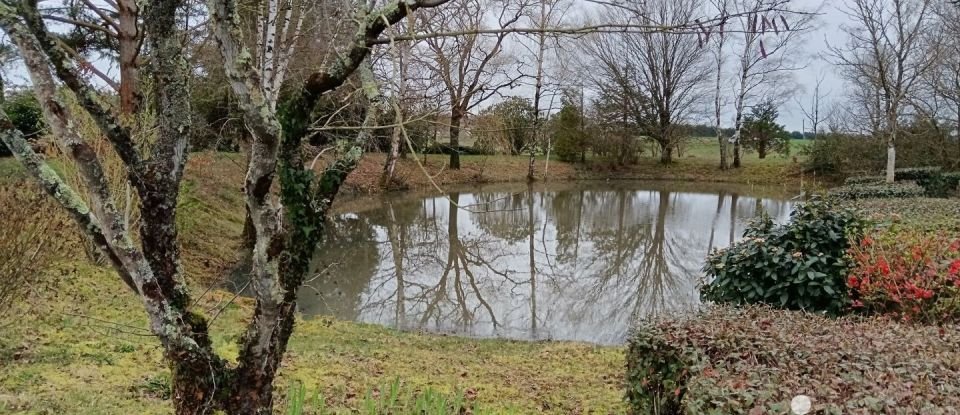 Terrain Loisirs de 5 210 m² à Auzouer-en-Touraine (37110)