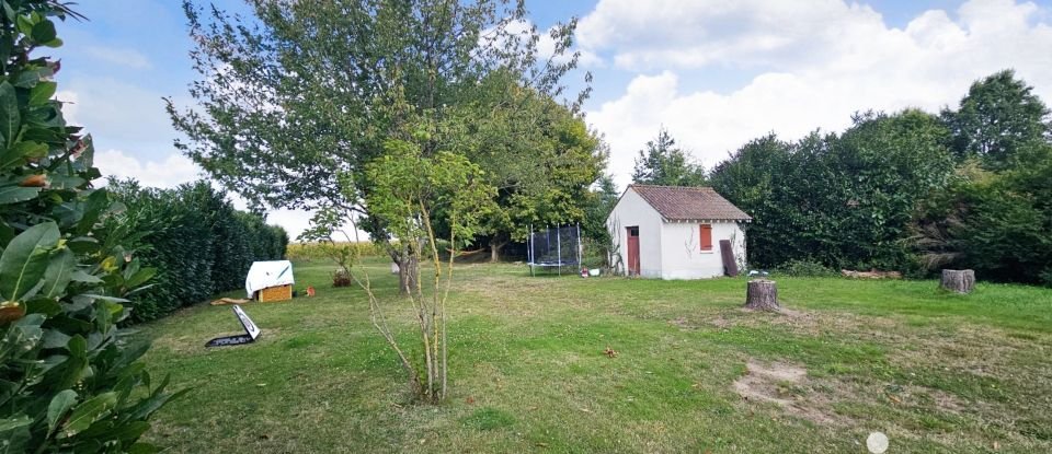 House 5 rooms of 121 m² in Saint-Benoît-sur-Loire (45730)