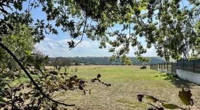 Land of 1,146 m² in SAINT-CRESPIN-SUR-MOINE (49230)