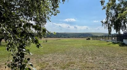 Land of 1,146 m² in SAINT-CRESPIN-SUR-MOINE (49230)