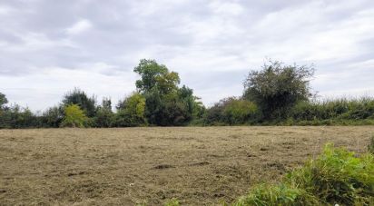 Terrain de 2 311 m² à - (08260)