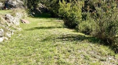 Land of 4,104 m² in Carros (06510)