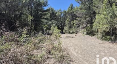 Terrain Loisirs de 4 980 m² à Sigean (11130)