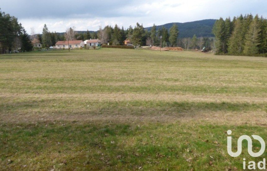 Terrain de 12 256 m² à Dunières (43220)