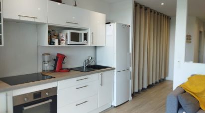 Studio 1 pièce de 35 m² à Saint-Martin (97150)