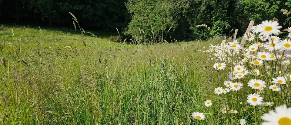 Demeure 7 pièces de 237 m² à La Chèze (22210)