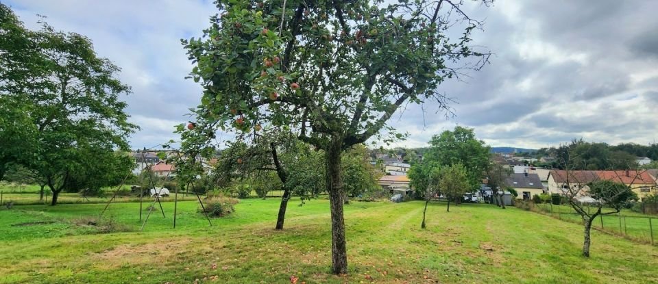 Maison traditionnelle 10 pièces de 192 m² à Schœneck (57350)