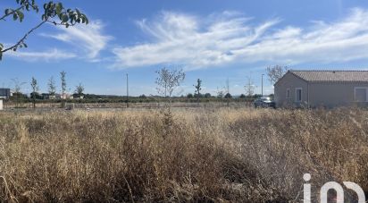 Terrain de 400 m² à Rieux-Minervois (11160)