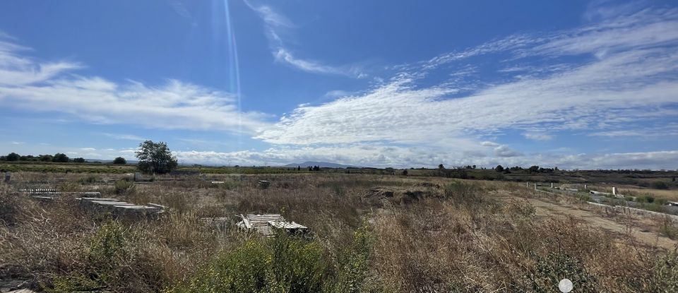 Terrain de 400 m² à Rieux-Minervois (11160)