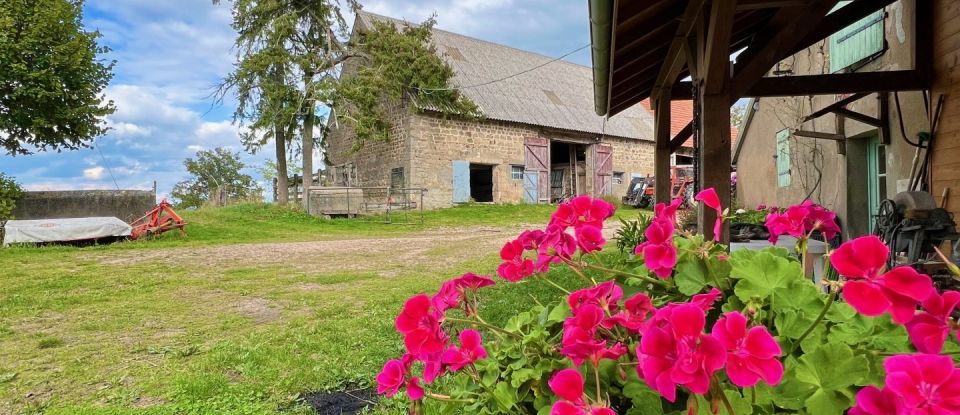 Maison de campagne 4 pièces de 120 m² à Bert (03130)