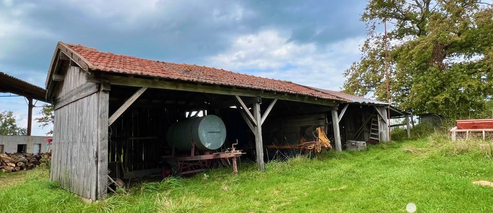 Maison de campagne 4 pièces de 120 m² à Bert (03130)