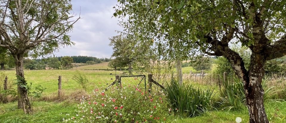 Maison de campagne 4 pièces de 120 m² à Bert (03130)