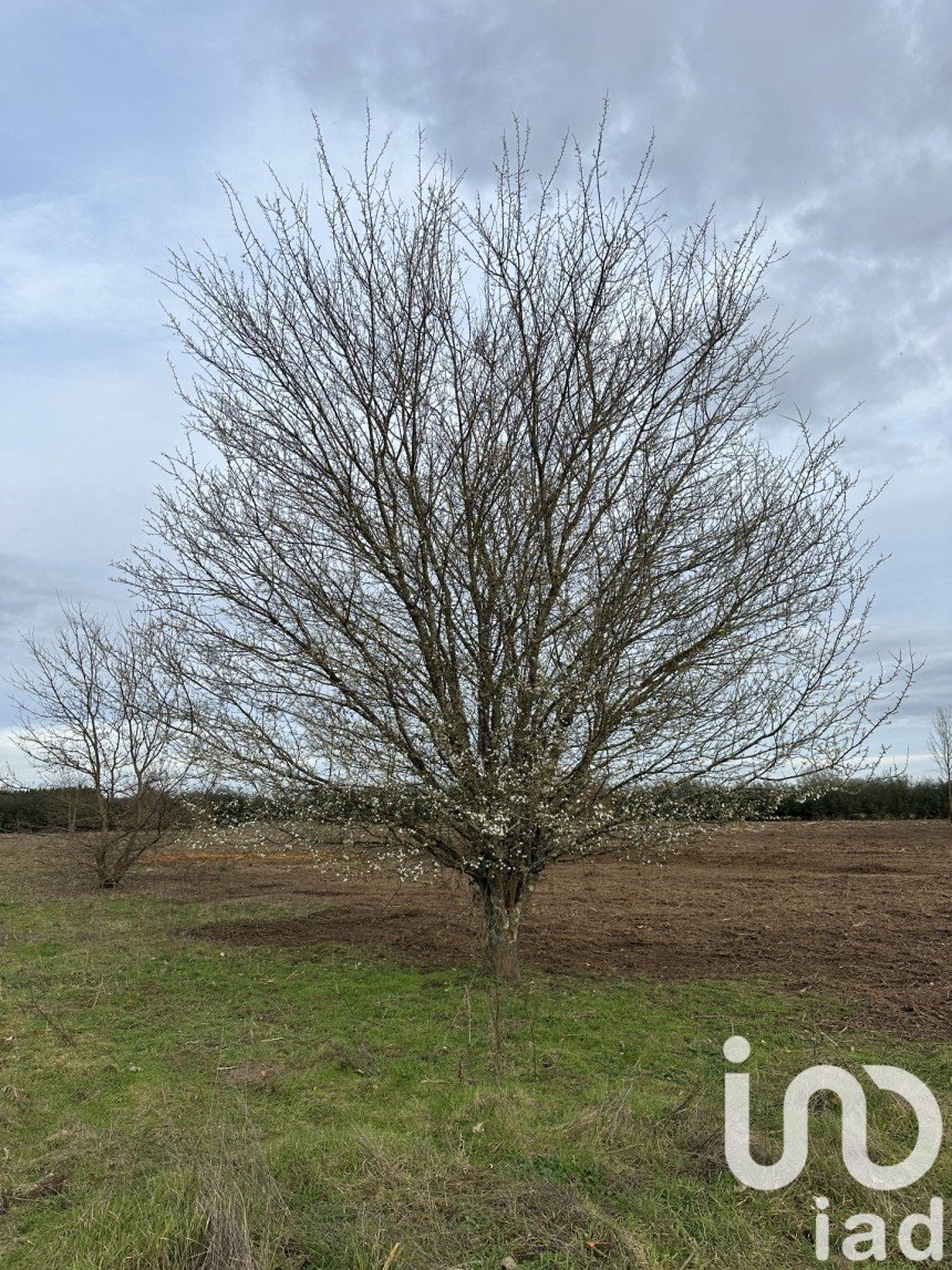 Terrain de 1 500 m² à Saint-Antoine-de-Breuilh (24230)