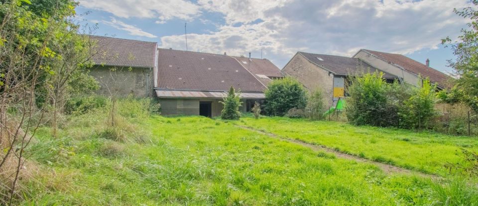 Maison 4 pièces de 127 m² à Saint-Maurice-Colombier (25260)