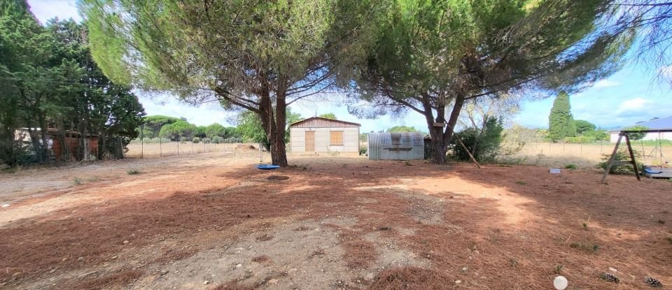 Maison 8 pièces de 230 m² à Sallèles-d'Aude (11590)