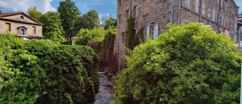 Immeuble de 700 m² à Saint-Julien-Molin-Molette (42220)