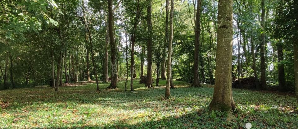 Maison traditionnelle 7 pièces de 128 m² à Baccon (45130)