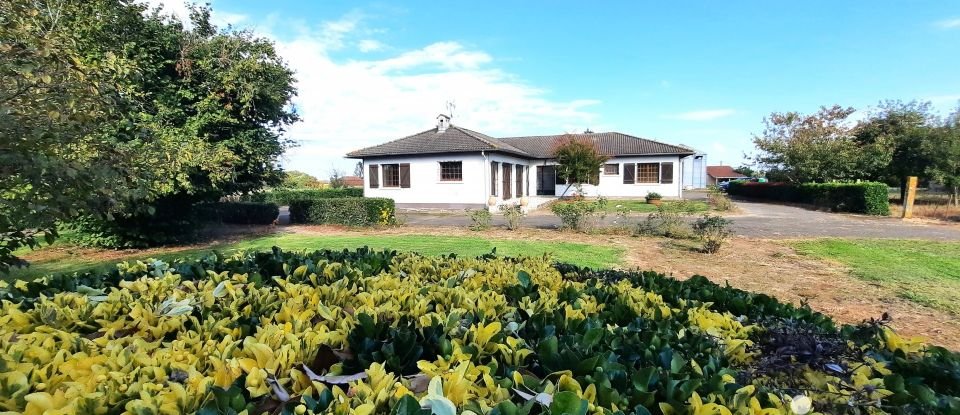 Maison traditionnelle 10 pièces de 222 m² à Saint-Agnet (40800)