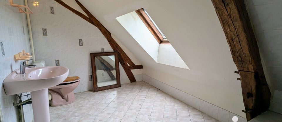 Maison traditionnelle 4 pièces de 141 m² à Nourray (41310)