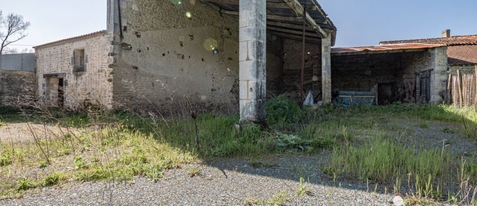 Maison traditionnelle 4 pièces de 102 m² à Bernay-Saint-Martin (17330)