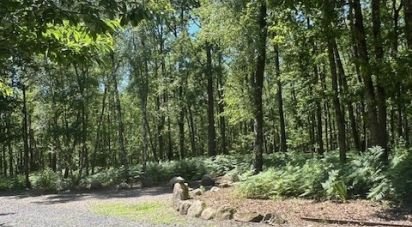 Domaine 10 pièces de 200 m² à Camps-Saint-Mathurin-Léobazel (19430)