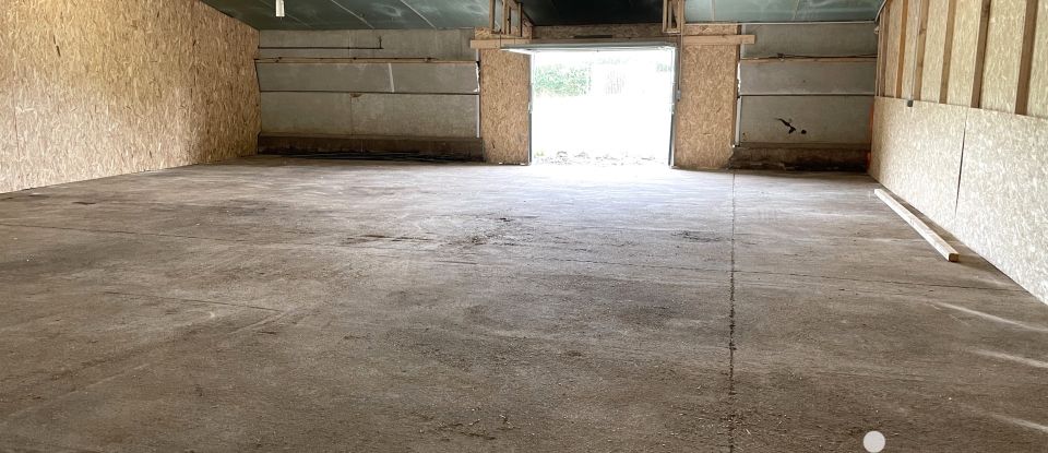 Parking/garage/box de 250 m² à Ingrandes-Le Fresne sur Loire (49123)