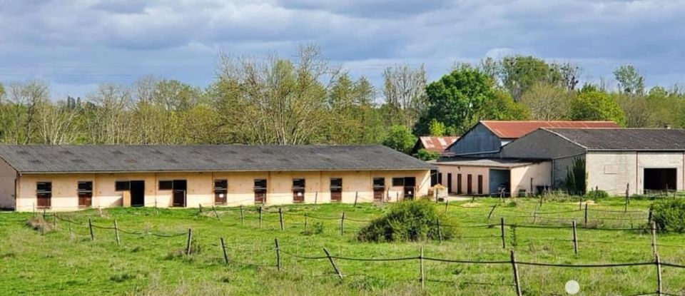 Equestrian facility 7 rooms of 173 m² in - (89120)