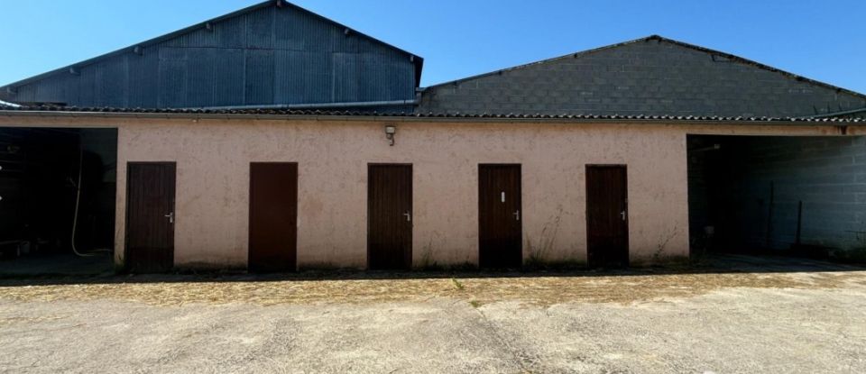 Equestrian facility 7 rooms of 173 m² in - (89120)