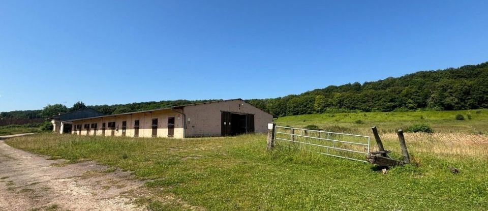 Equestrian facility 7 rooms of 173 m² in - (89120)