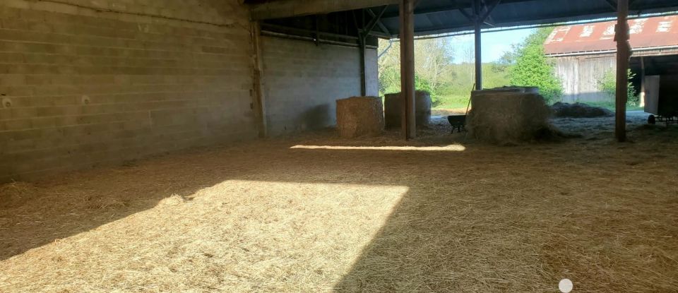 Equestrian facility 7 rooms of 173 m² in - (89120)