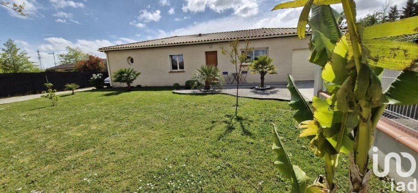 House 6 rooms of 157 m² in Montauban (82000)