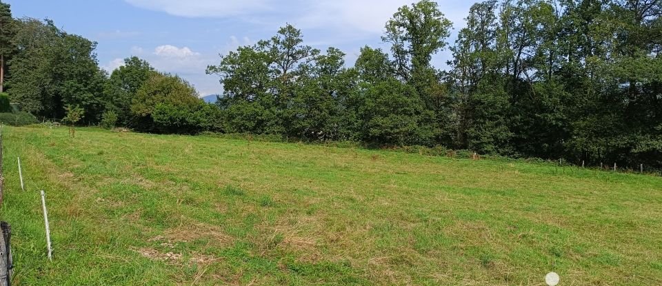 Land of 1,398 m² in Jussac (15250)