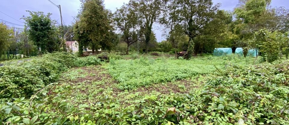 Terrain de 2 000 m² à Gièvres (41130)