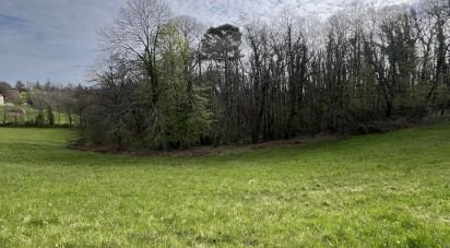 Land of 15,000 m² in Sarlat-la-Canéda (24200)