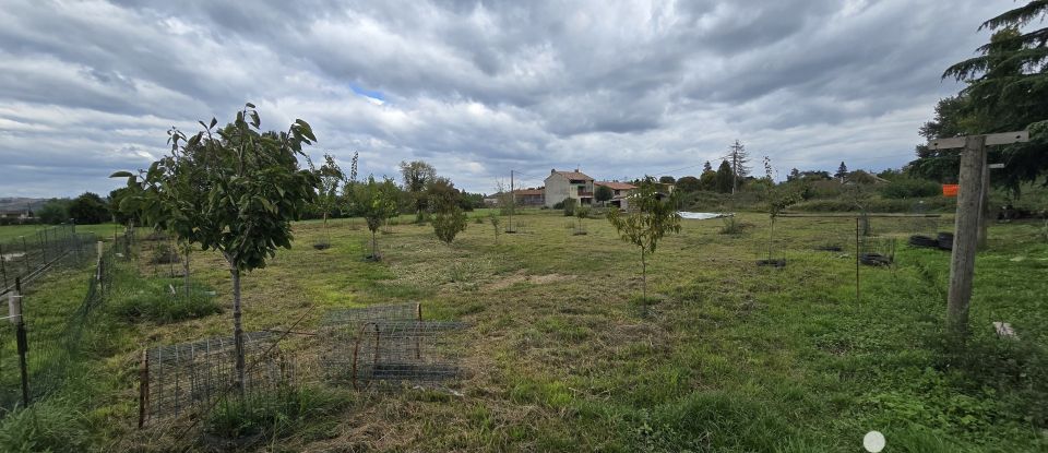 Longère 5 pièces de 208 m² à Saint-Nicolas-de-la-Grave (82210)