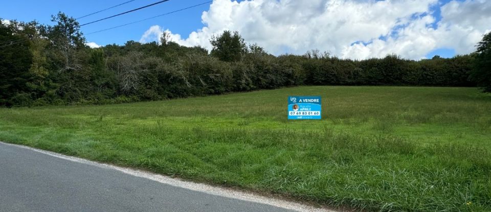 Terrain de 4 216 m² à Sarlat-la-Canéda (24200)