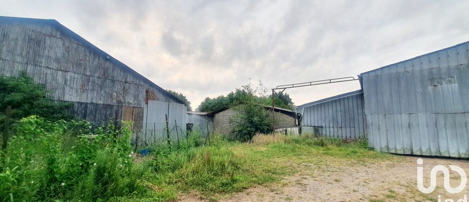 Maison 5 pièces de 115 m² à Preux-au-Bois (59288)