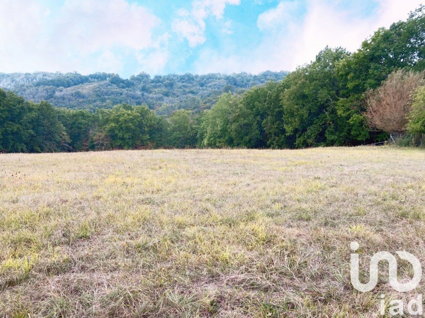 Terrain de 3 000 m² à Peyzac-le-Moustier (24620)