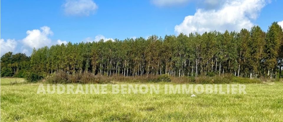 Maison 5 pièces de 103 m² à Beaufort-en-Anjou (49250)