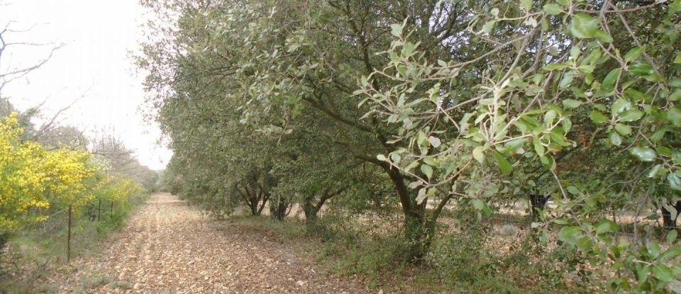 Terrain de 9 340 m² à Grignan (26230)