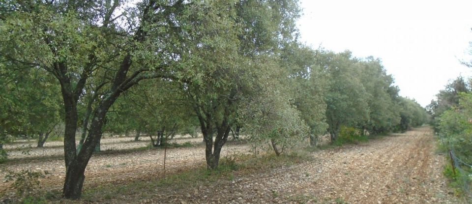 Terrain de 9 340 m² à Grignan (26230)