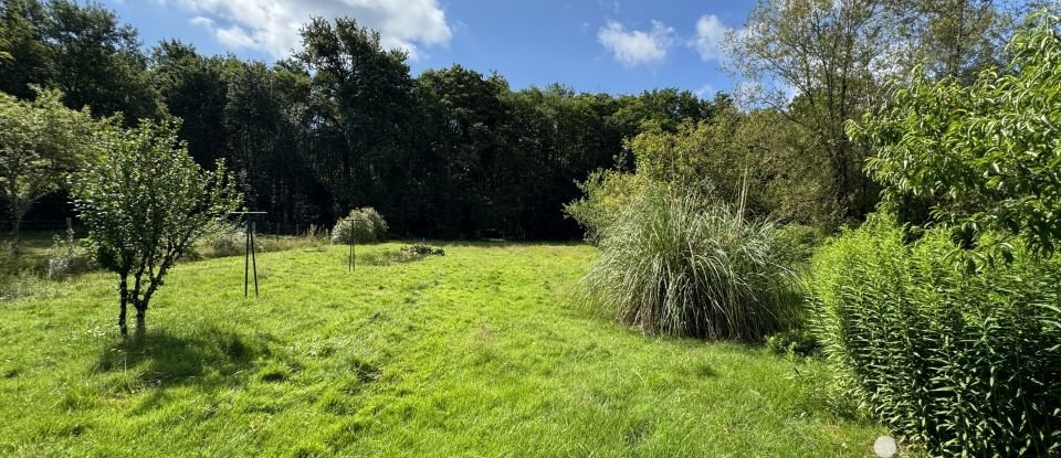 Maison 5 pièces de 92 m² à Fleury-sur-Loire (58240)