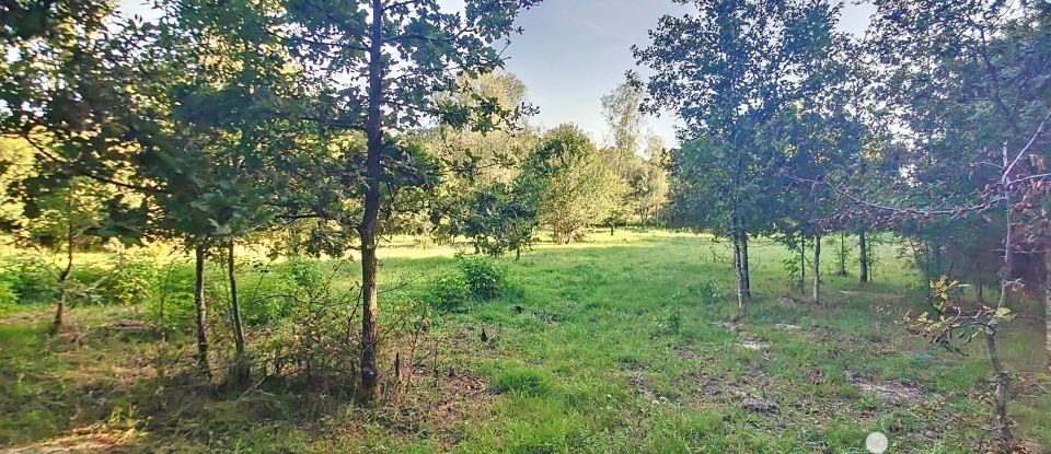 Land of 25,701 m² in Coullons (45720)