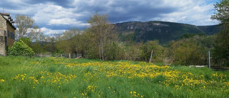 Terrain de 1 200 m² à Barjac (48000)