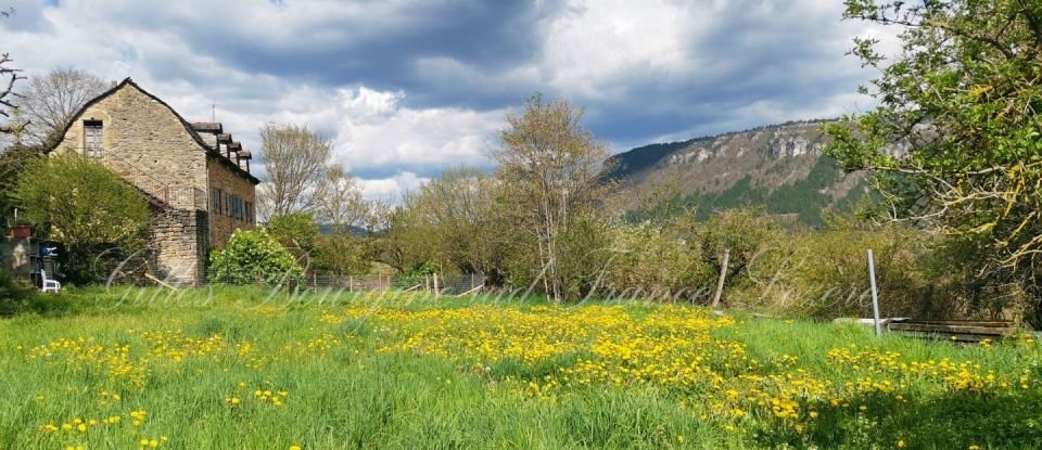 Terrain de 1 200 m² à Barjac (48000)