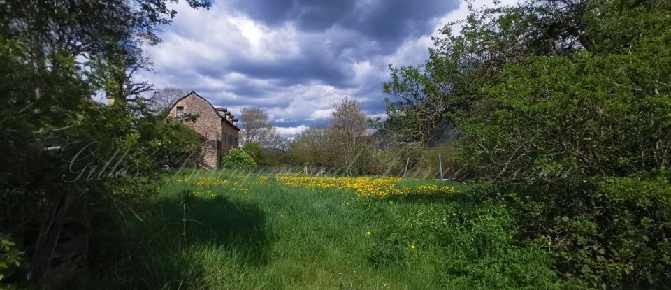 Terrain de 1 200 m² à Barjac (48000)